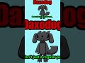 Daxodog EXPOSED 🐶🔥 The STRANGEST Pet in Jailbima Rotains?! (2026)