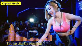Download Lagu Zou Le Jiu Bie Hou Hui Remik 2021 MP3