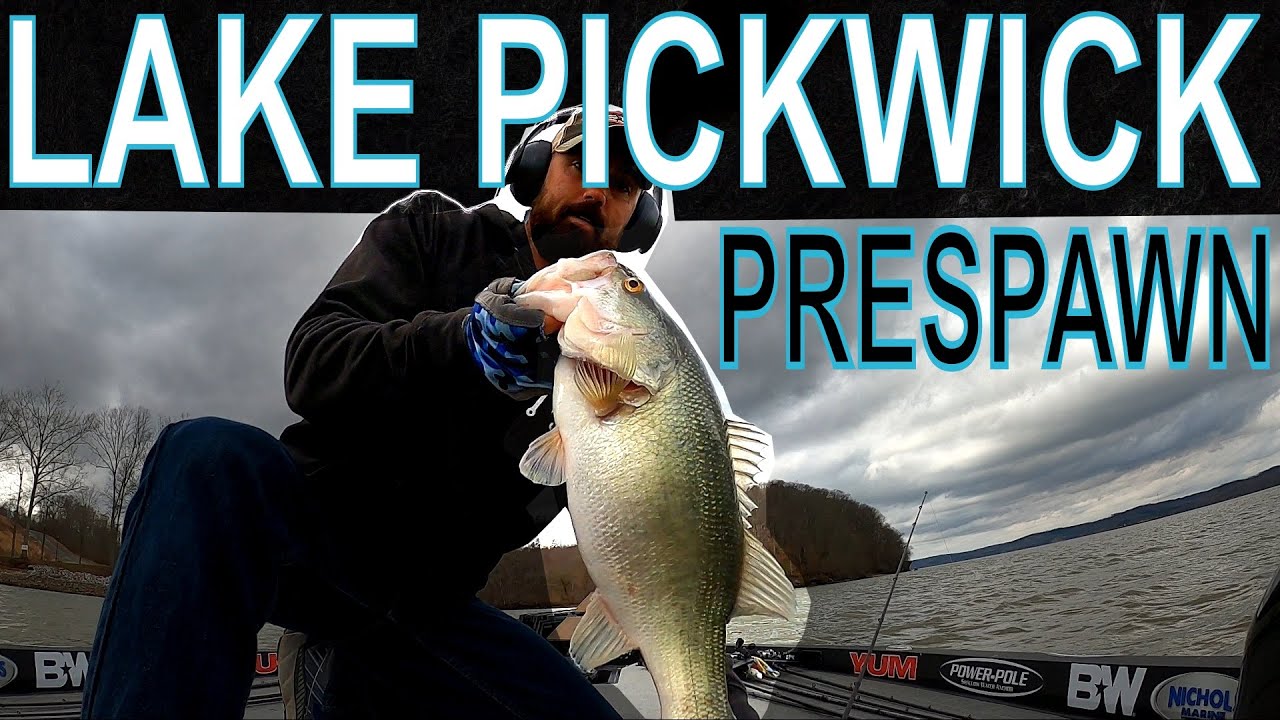 Are Pickwick Bass ALL Pre-Spawn in March?