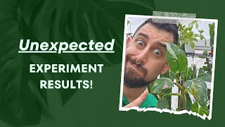 💚 Maximize Your Houseplant's Potential: Discover the Best Hacks! 📈  Unveiling Experiment Results! 🧪 screenshot 4