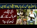 This Pakistani Boy Have 35 Most Expensive and Dangerous Dogs in Lahore