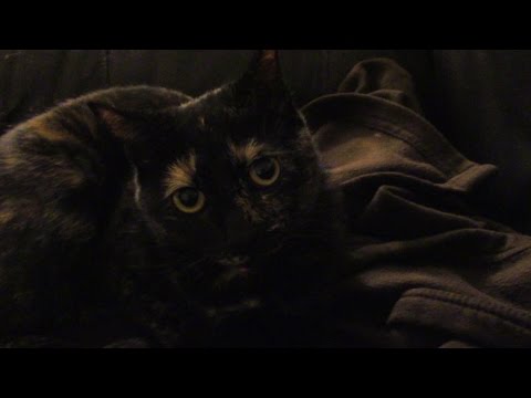 Weird Computer Problems