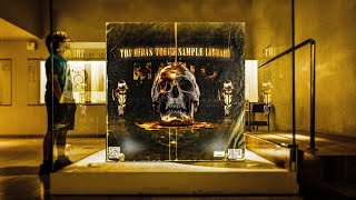 [40 ] The Midas Touch Sample Library / Loop Kit (OZ, Cubeatz, Drake, Travis Scott, Shindy, Pvlace)