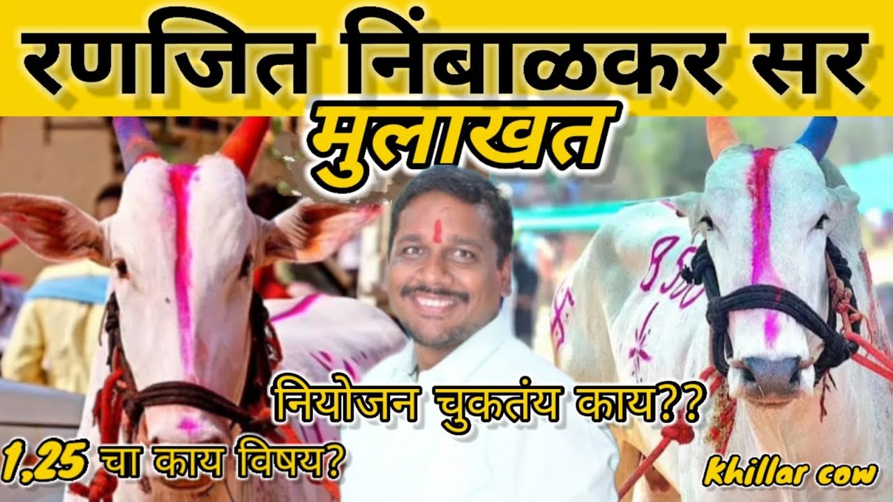 रणजित निंबाळकर सर यांची मुलाखत / बैलगाडी शर्यत / khillar cow @khillarcow5048
