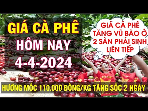 Giá cà phê hôm nay ngày 4/4/2024