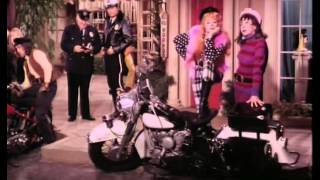 新品 Lucy Show-Shout,Speed,Shake Your ROCK Amazon.com: Lucy Show-Shout,Speed,Shake Your ROCKAROLLICA