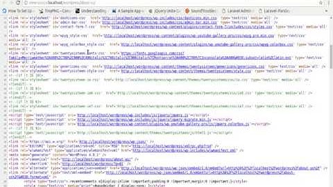 WP Version Remover - Wordpress Plugins