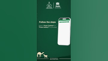 Raast QR Code Service