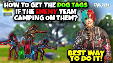 𝙲𝙾𝙳𝙼 𝑻𝒊𝒑𝒔 & 𝑻𝒓𝒊𝒄𝒌𝒔丨𝙲𝚘𝚕𝚕𝚎𝚌𝚝𝚒𝚗𝚐 𝙳𝚘𝚐 𝚃𝚊𝚐𝚜