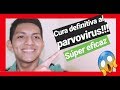 🔴2019 Cura para salvar a tu perro del parvovirus muy eficaz SALVA A TU AMIGO!!!!!!