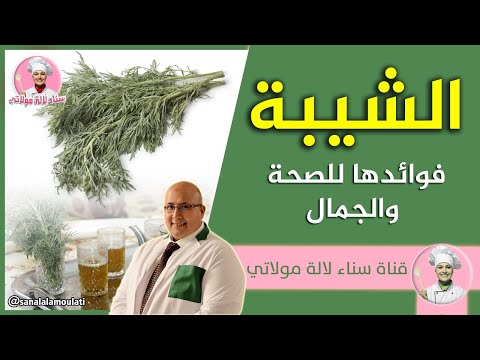 الشيبة فوائدها للصحة والجمال الدكتور عماد ميزاب   