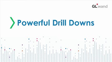 Insight GL Wand for SAP