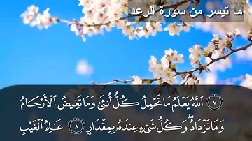 ما تيسر من سورة الرعد