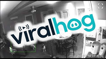 Falling Backwards in Chair Knocks Grandma Over || ViralHog