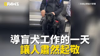 導盲犬菲爾的一天，一路全神貫注，繞路避開障礙，乘坐地鐵尋找座位，真的太乖了，看了讓人感動