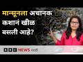 मान्सून कशामुळे लांबतो आहे? कुठल्या जिल्ह्यांमध्ये कोणता अलर्ट? | BBC News Marathi