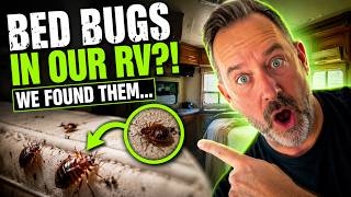 We Found Bed Bugs in This RV... 😳