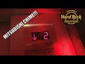 The Hard Rock Hotel & Casino in Punta Cana - YouTube