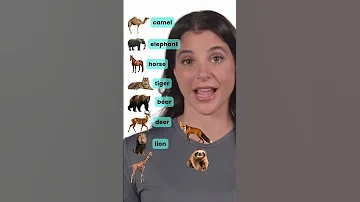 Animals In English الحيوانات باللغة الانجليزية 