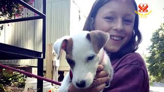 Supreme Master Ching Hai Awards Daniel Bissonnette The Shining World Leadership Award