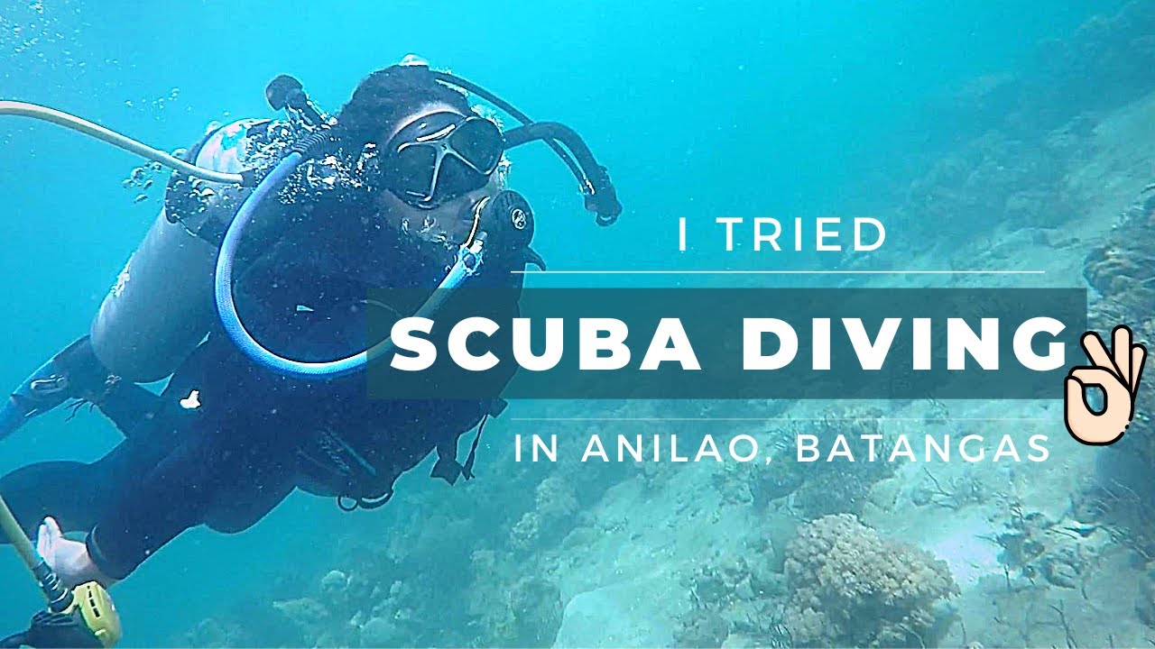 Scuba Diving for Beginners Anilao, Batangas YouTube