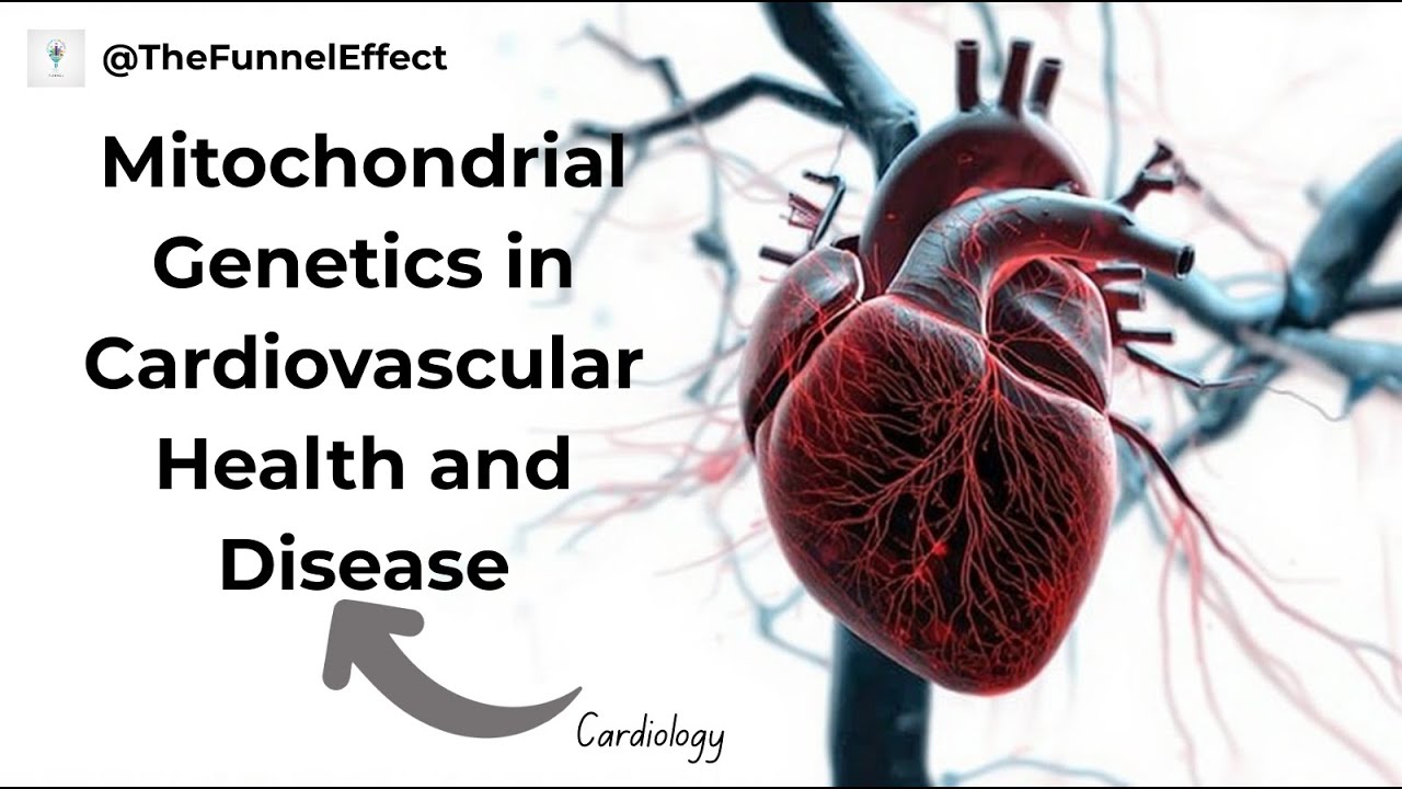 Mitochondrial Genetics in Cardiovascular Health and Disease - YouTube