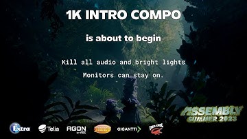 Assembly Summer 2023 1k Intro