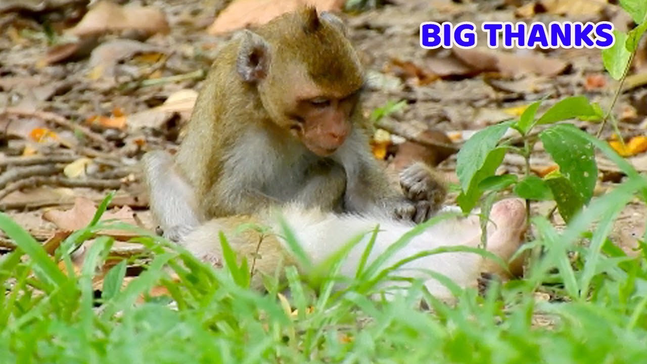 Very good job Janna come to nurse for baby Brandi, Janna look very concern on Brandi deep hurt