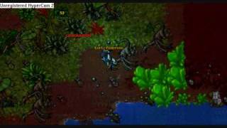 Tibia Hunt and Solo Behemoth