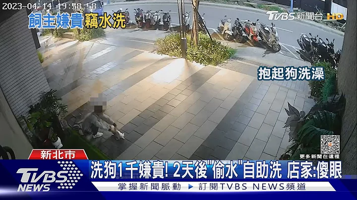 洗狗1千嫌贵! 2天后“偷水”自助洗 店家:傻眼｜TVBS新闻 @TVBSNEWS01 - 天天要闻