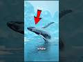 Top 4 Biggest Animals on Earth 😱