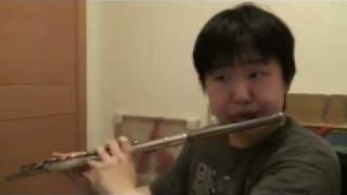 In Dreams (Lord of the Rings) -flute cover ~ added reverb