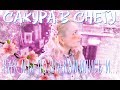 КАК МЫ ПОЗНАКОМИЛИСЬ И..САКУРА В СНЕГУ