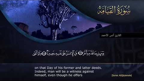 القارئ الشيخ أنس الأحمد / من سورة القيامة