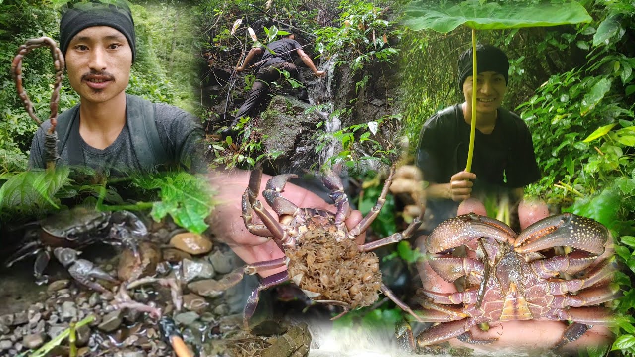 Catching 🦀 Crab Using Earthworm In Heavy Rainfalls || @HOTHRONGCHANG1998