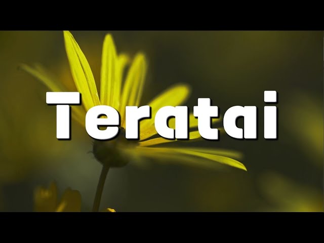Teratai - Inka Christie (Lirik) class=