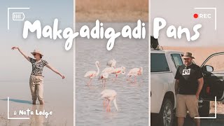 Exploring Nata Lodge & the Makgadikgadi Pans Ep 1 | Wild Beauty of Botswana