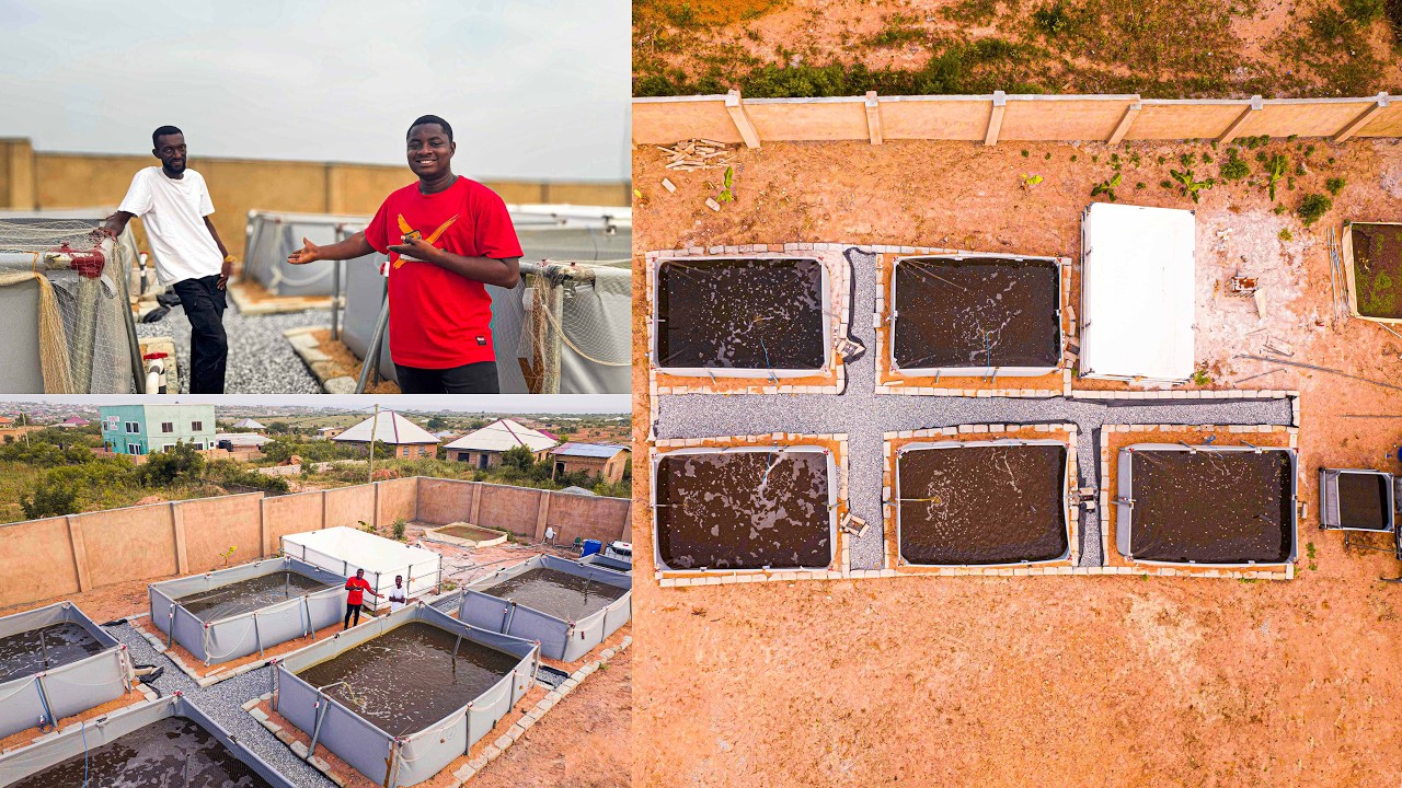 Revolutionizing Fish Farming: The Hybrid System That Changes Everything!