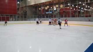 Hamburger Hockey League -Exhibition and 'Skills' Demonstration...
