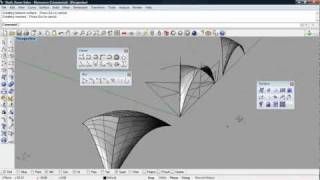 Rhino Hyper Shell Curved