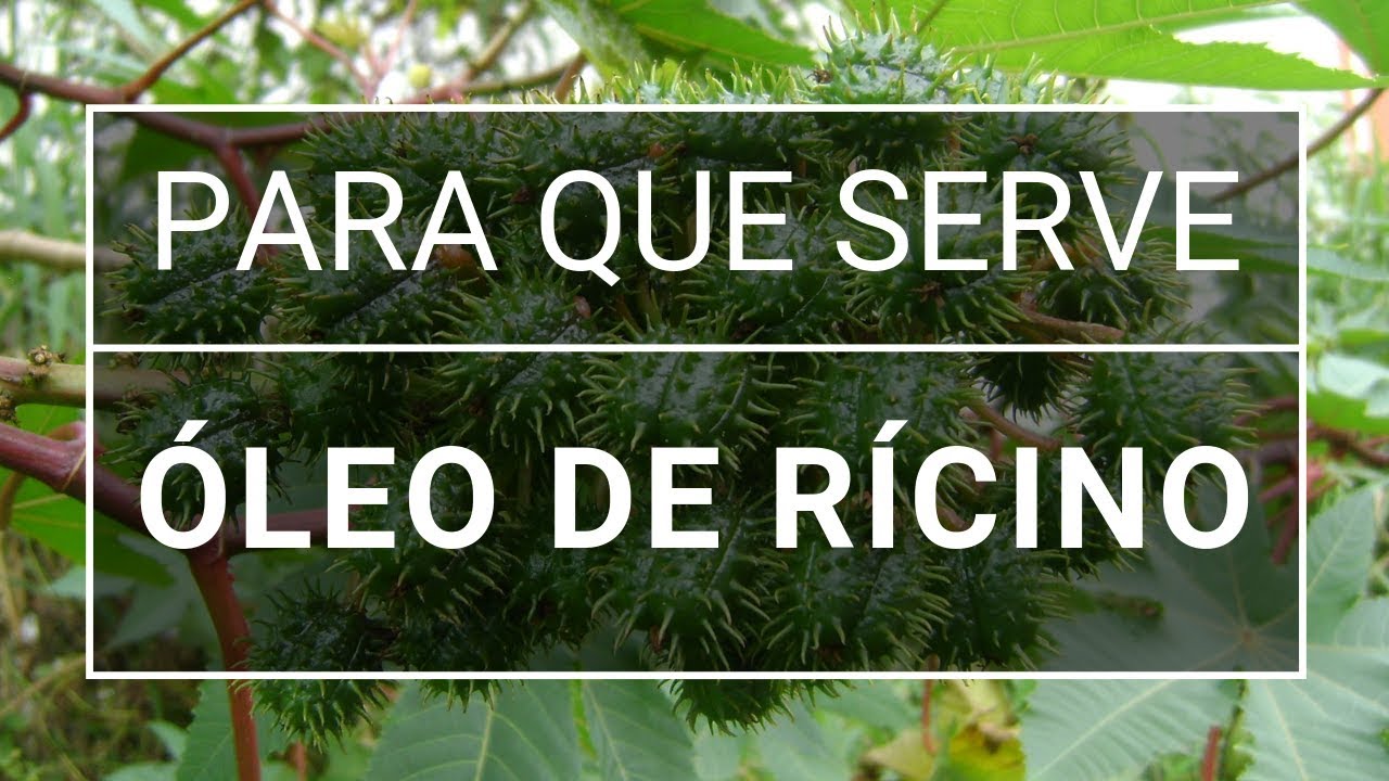 oleo de abacate para que serve na pele