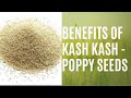 How To Grow Poppy Seed (Kashkash) In Pot (Urdu/Hindi)