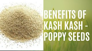 DownloadHow To Grow Poppy Seed (Kashkash) In Pot (Urdu/Hindi) MP3 MP4 How To Grow Poppy Seed (Kashkash) In Pot (Urdu/Hindi)