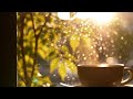Calm December Jazz Piano ☕ Relaxing Winter Coffee Shop for Study & Peace