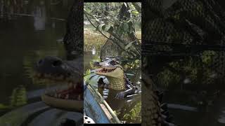 Suara Yg Paling Ditakuti Saat Ini