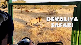 Exploring Devaliya Safari Park and Devraj | A Wildlife Adventure in Gujarat