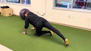 Quadruped Posterior Hip Capsule Stretch / Modified Pigeon / Dynamic Glute Mobility (2023)