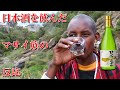 【マサイ族が日本酒を飲んだら】どんな反応をするのか?(海外の反応)