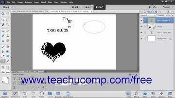 Photoshop Elements 2019 Tutorial The Text on Selection, Shape and Custom Path Tools Adobe Training