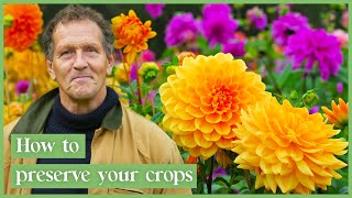 Download Lagu Monty Don's Secrets To Keeping Your Garden Alive All Winter! | Gardener's World MP3